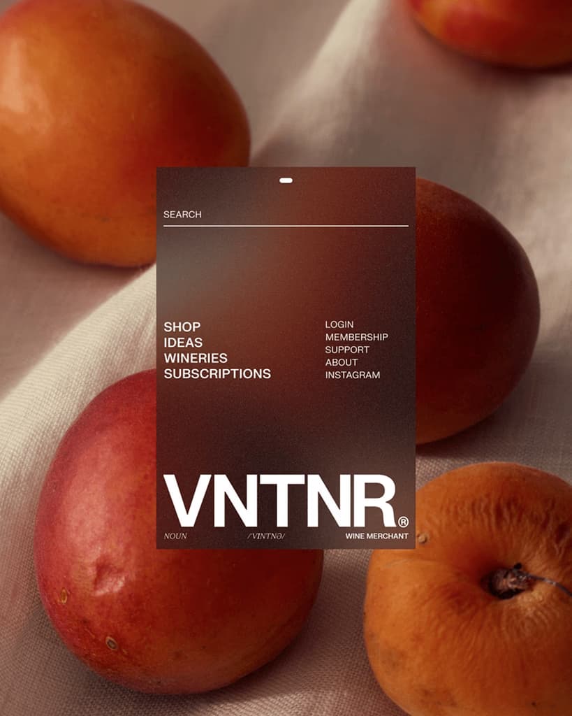 VNTNR - Brand Identity